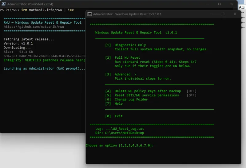 RWU launcher verifying SHA256 hash alongside the TUI main menu